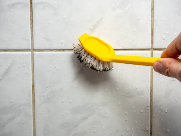 Best Attic Mold Removal  in Marianne, PA