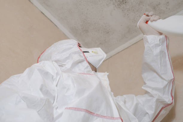 Best Mold Inspection  in Marianne, PA